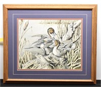 Pin Tail Ducks Game Bird Print by Pam Stoehsler