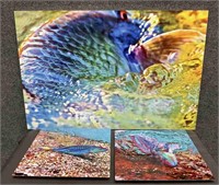 Three Signed Abstract Fish Paintings