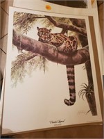 CLOUDED LEOPARD SIGNED PRINT GUY COHELEACH