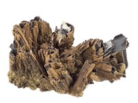 Goethite After Selenite (Pseudomorph) Specimen