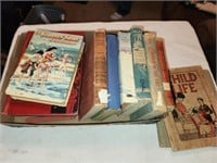 Vintage Books - Bobbsey Twins, Child LIfe & More