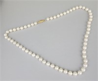 Pearl & 14K Gold Clasp Necklace.