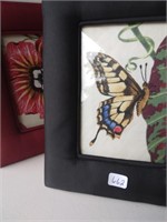 (2) Frames (butterfly, etc...)