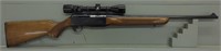 Browning BAR 243 cal., w Bushnell scope,