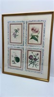 Framed 18th Century Floral Prints
