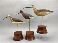 3 Anthony Hillman Shorebirds