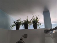 4 fake plants- 3 10" spider plants