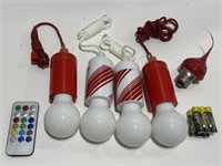 Indoor/outdoor 2 inch hanging bulbs with remote
