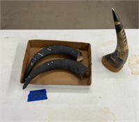 Carved Buffalo horn & other horns