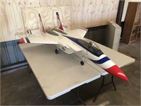 Avonda F15 Model plane approx 6 x 5 ft