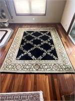 Nice large area rug