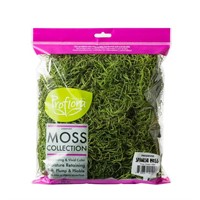 ProFlora Preserved Spanish Moss,  True Green AZ18
