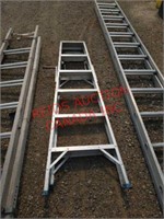 6 rung ladder