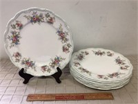 ROYAL ALBERT "COLLEEN" DINNER PLATES (8)