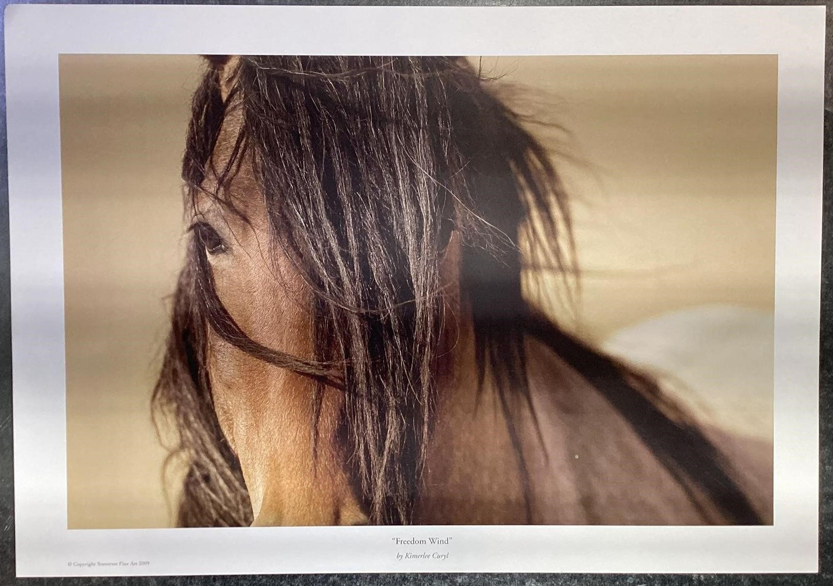 Freedom Wind By Kimerlee Curyl Horse Decor 17X12