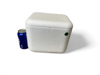 Small Styrofoam Cooler