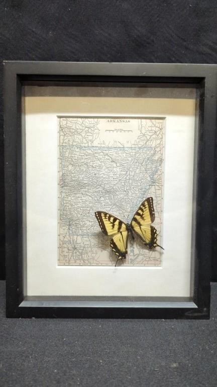 Framed Arkansas State Map W/ Butterfly