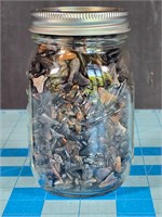 Jar of shark/fish teeth