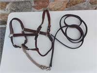 Circle Y Western Show Halter with Lead