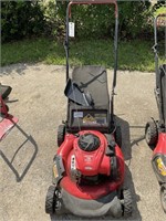 CRAFTSMAN M110, 140CC PUSH MOWER WITH BAGGER