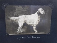 1920's Elk Lake Wayne Co Photo Album NYC etc.