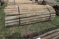 Roughly 65 posts 8ftx 3-4in