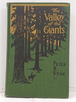 1918 The Valley of the Giants