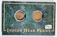 1902 & 1907  Indian Head Cents in display