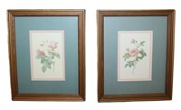 pair framed botannical prints