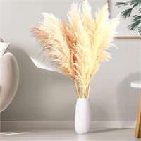 12 Stems 40 Natural Dried Pampas Grass - Tall