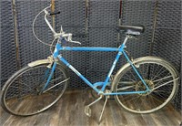 Vintage Sam Williams Free Spirit Bicycle