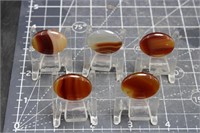 5 Carnelian Cabs