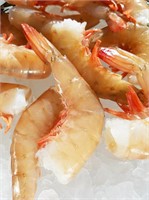 Shrimp, Texas Gold Wild Caught 21/25 Shell-on-5lbs