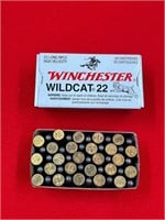 Winchester Wildcat .22 Long Rifle 50 Rounds
