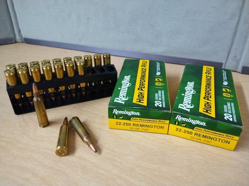 REMINGTON 22-250 RIFLE SHELLS 40 ROUNDS 55 GRAIN