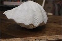 Jumbo Vintage Clam Shell