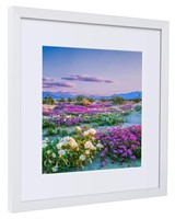 NESCL 14x14 Frame Display Picture 10x10 or 5x7 wit