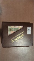 Professional Dominoes, set of 91NIB