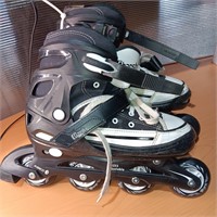 Harsh Youth's Skates