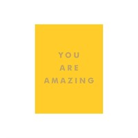 You Are Amazing by Summersdale