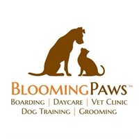 BloomingPaws Doggy Day Care