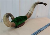Large size of steer horns with brass tips