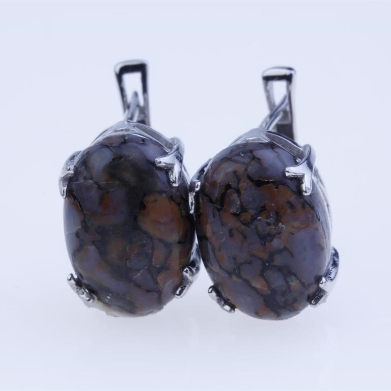 Dinosaur Bone Leverback Earrings