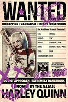 2021 The Suicide Squad Harley Quinn Wanted Poster