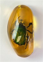 Amber Resin Beetle Pendant 37 Grams