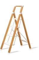 $100 4 Step Ladder