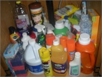 Contents of Cabinet-Laundry Supplies