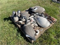 GOOSE DECOYS