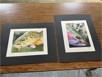 Two Matted Fish Prints by D. Vincent