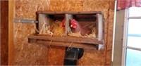 Nesting box with ceramic chickens and eggs